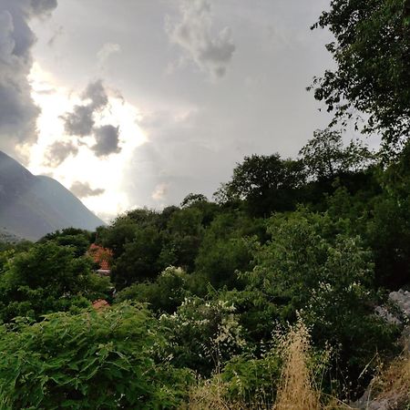 Mira 2 Apartment Zagvozd Bagian luar foto